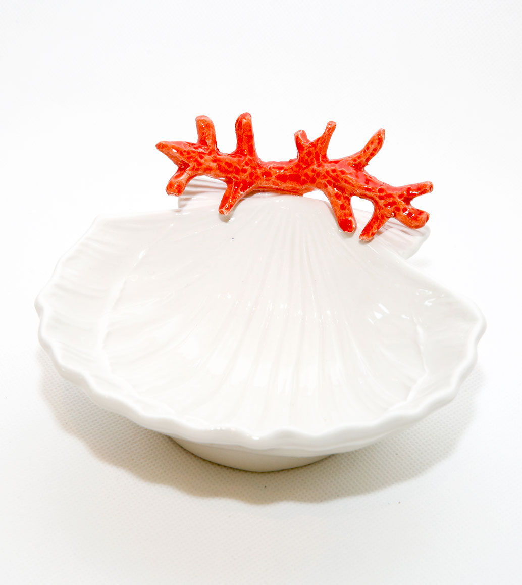 Msquare Gallery item Shell Coral