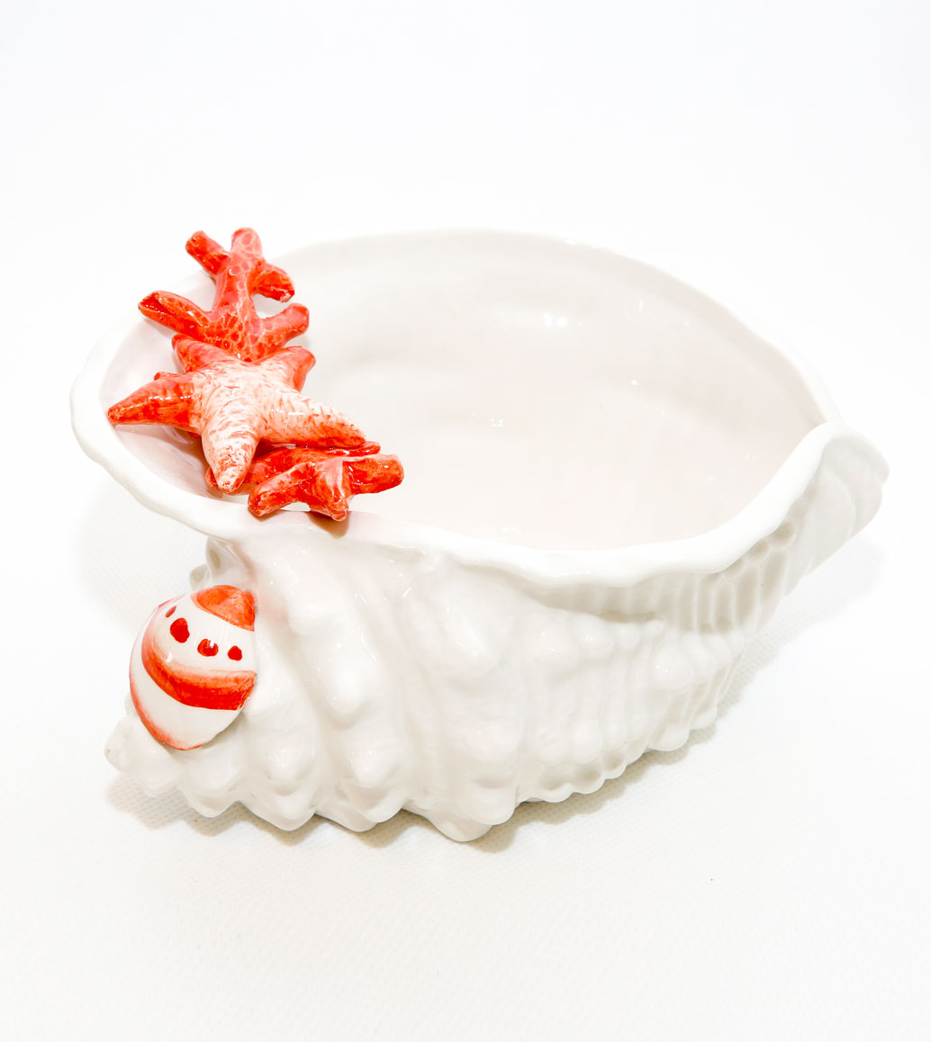 Msquare Gallery item Small Bowl Shell Coral