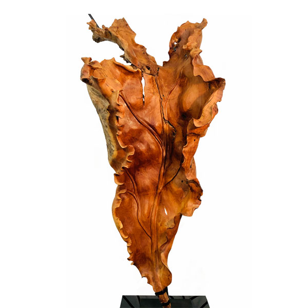Msquare Gallery Product Teak wood Leaf Sculpture