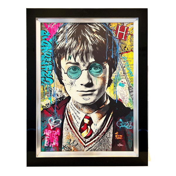 Msquare Gallery Product Romaric - Harry Potter - Victoria 467 Noir/Argent 50x70 cm